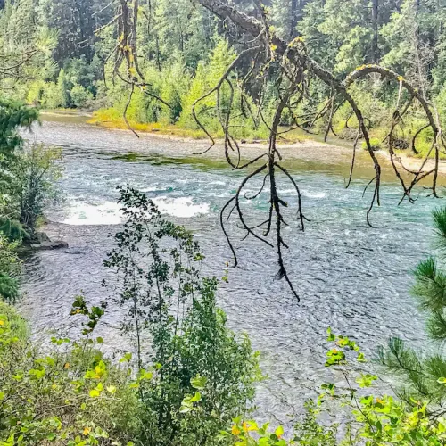 Walk To Cle Elum River